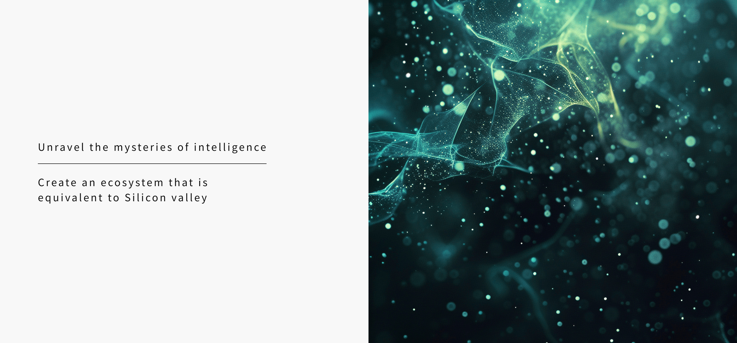 Unravel the mysteries of intelligence
Create an ecosystem that is
 equivalent to Silicon valley